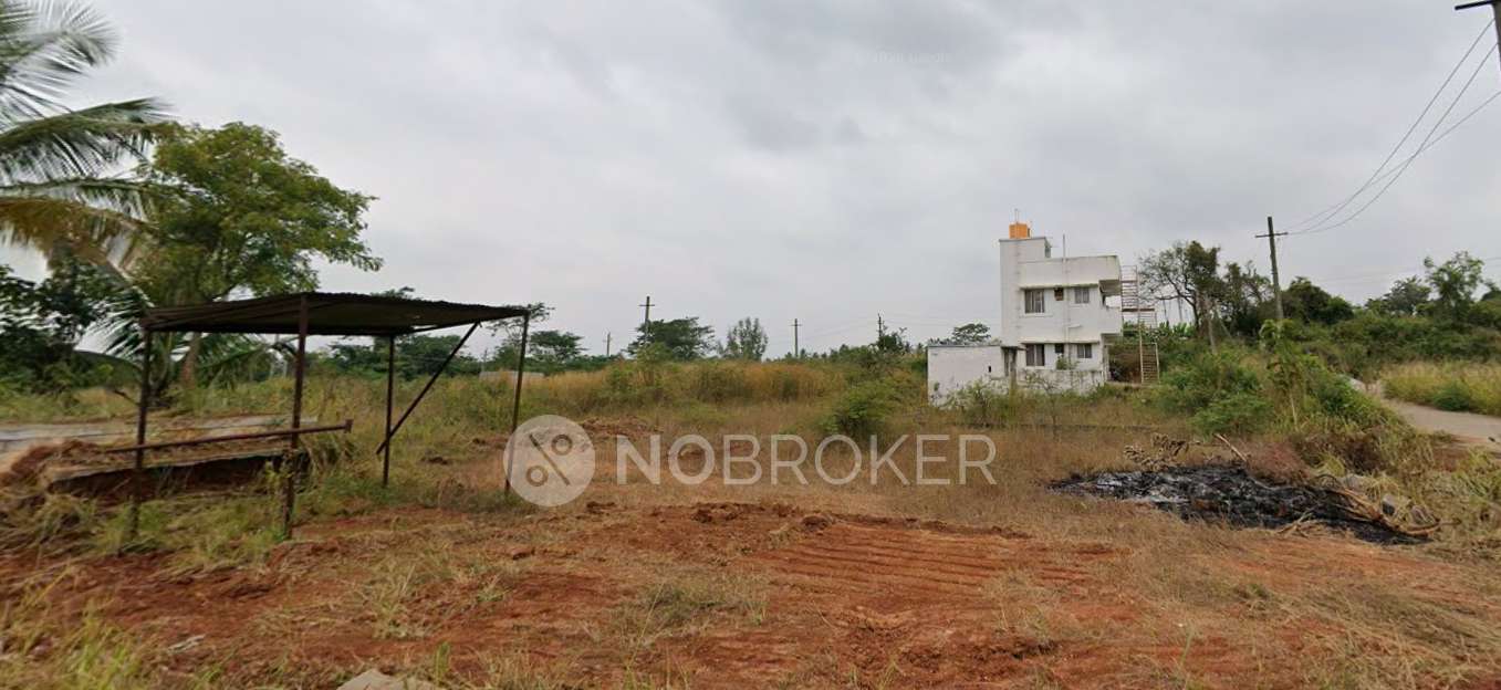 Shettys Garden Layout