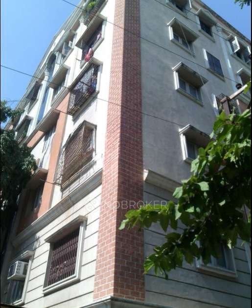 Masood Royal Comfort