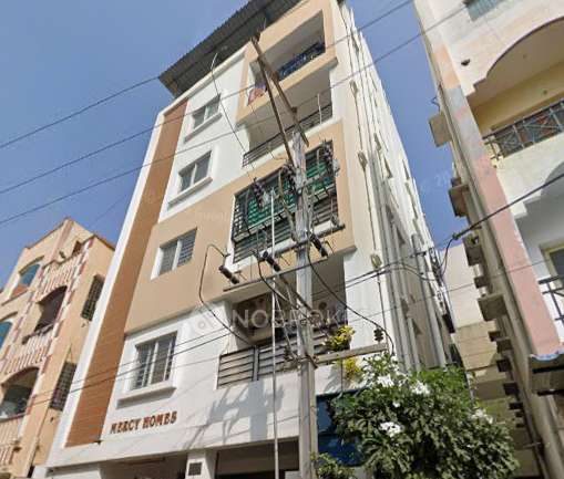 Mercy Homes Apartment