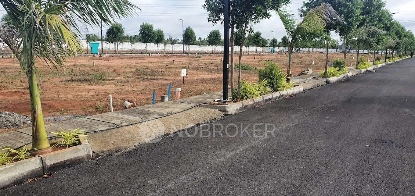 Privilege Green Groves