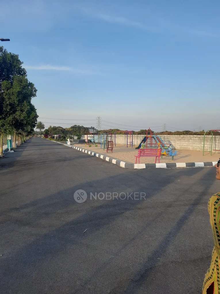 Privilege Green Groves