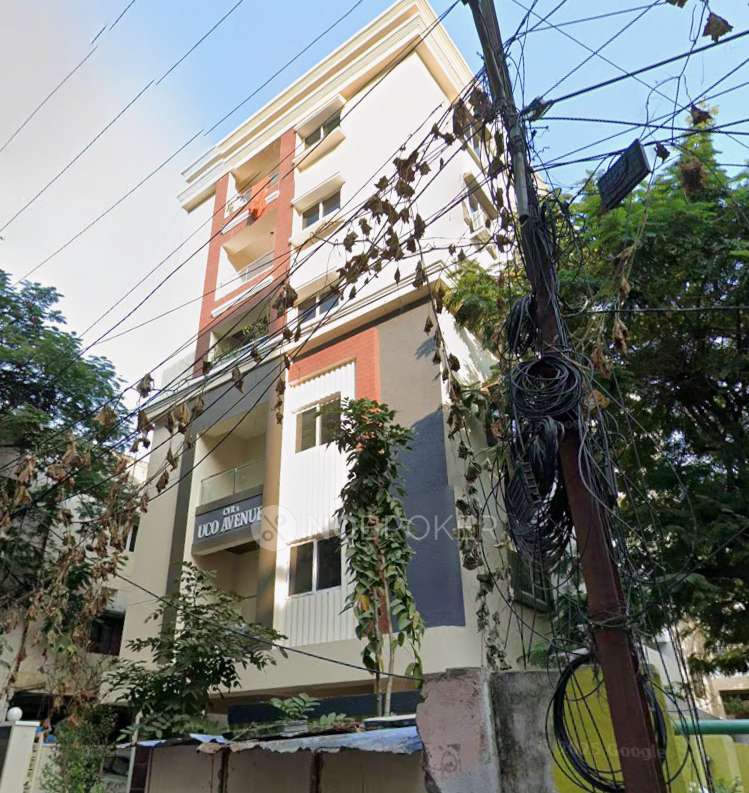 UCO Avenue Apartment