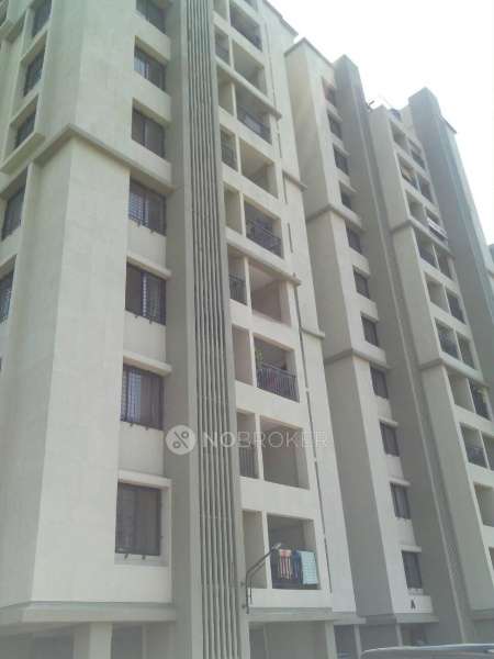 Revell Orchid Phase 2