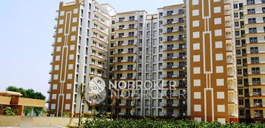 Tulip petal and Ace apartment owners Association