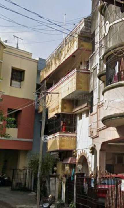 Golden Nest Apartment