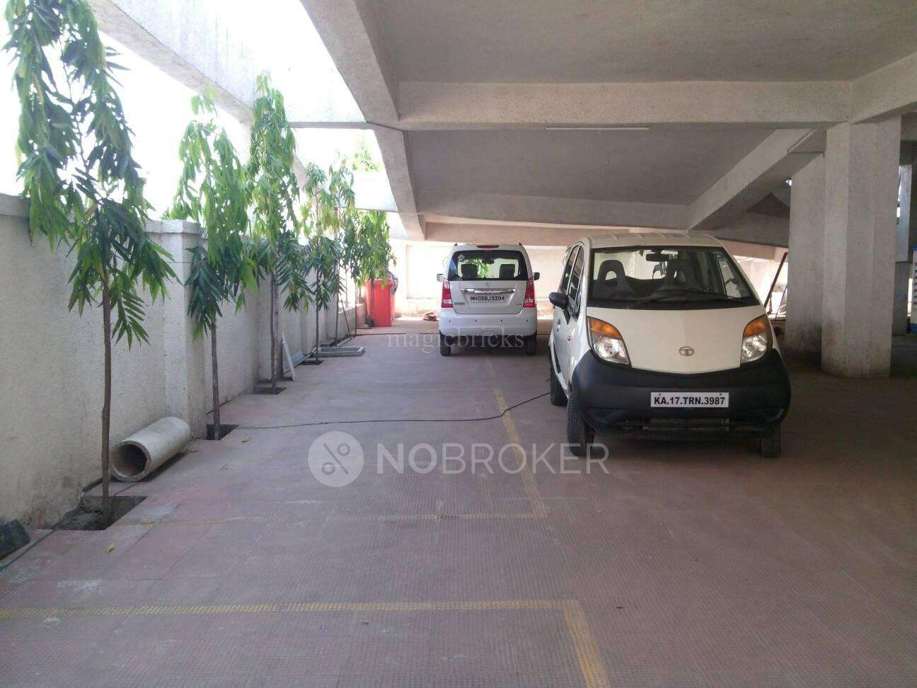 Green Valley Feather