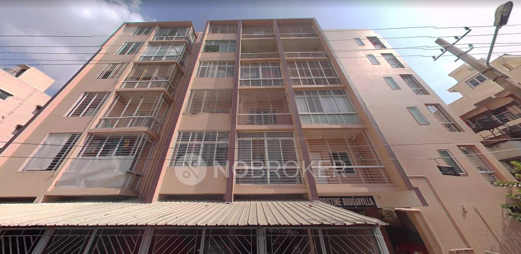 Pristine Bouganvilla