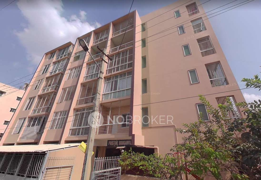 Pristine Bouganvilla