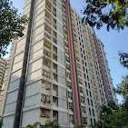 Dream Tower