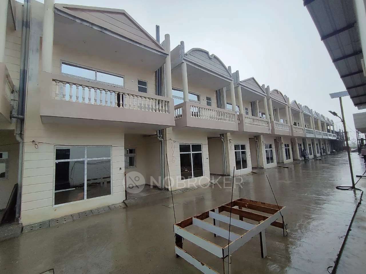 Aambesten Twin Clarus