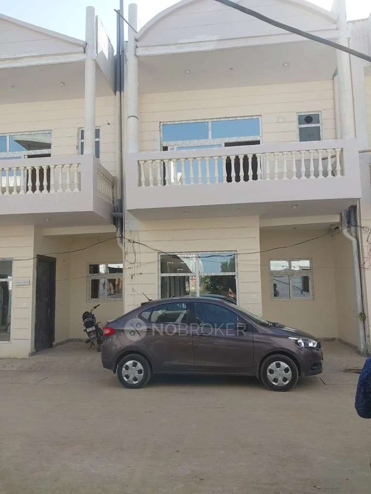 Aambesten Twin Clarus